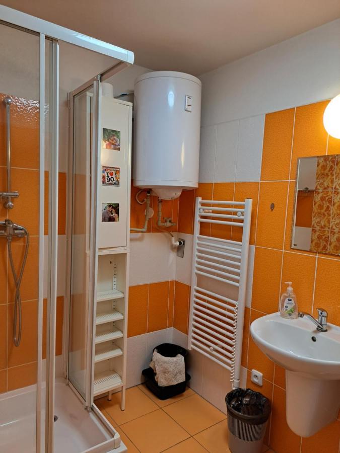Apartman Max Lipno Lipno nad Vltavou Ngoại thất bức ảnh